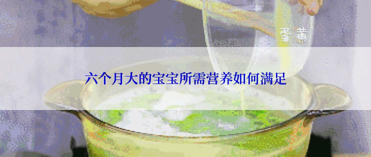 六个月大的宝宝所需营养如何满足