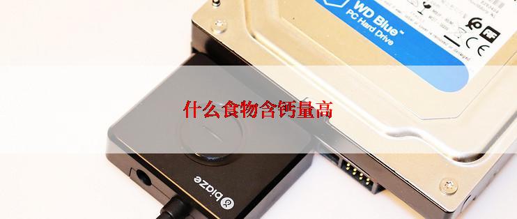 什么食物含钙量高