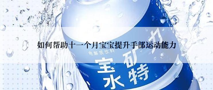 如何帮助十一个月宝宝提升手部运动能力