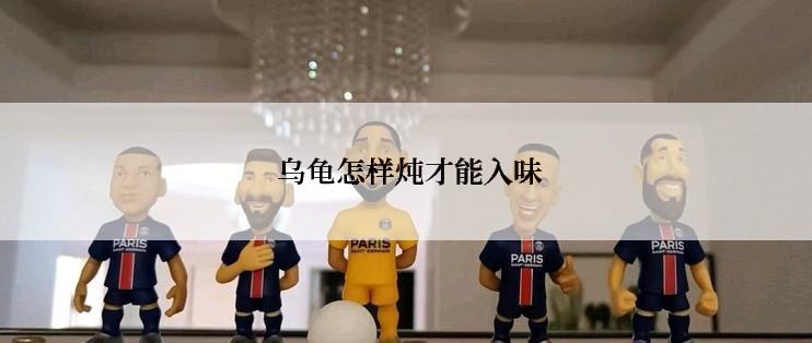  乌龟怎样炖才能入味