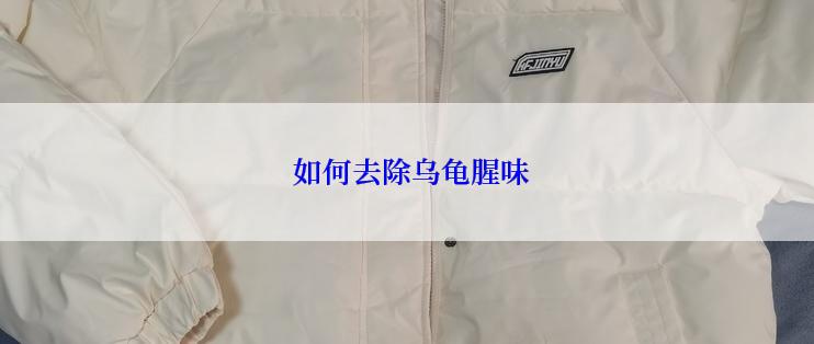  如何去除乌龟腥味