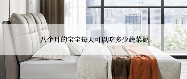  八个月的宝宝每天可以吃多少蔬菜泥