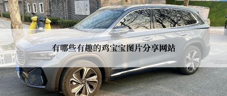 有哪些有趣的鸡宝宝图片分享网站