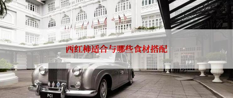 西红柿适合与哪些食材搭配
