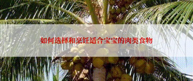 如何选择和烹饪适合宝宝的肉类食物