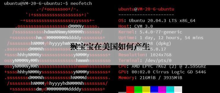猴宝宝在美国如何产生