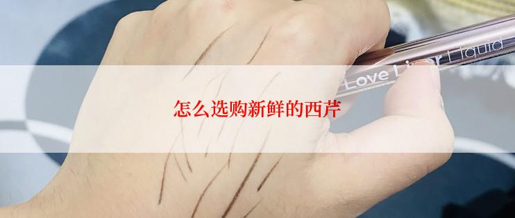 怎么选购新鲜的西芹