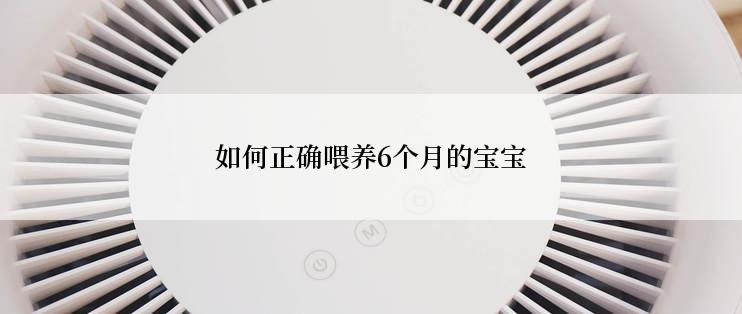 如何正确喂养6个月的宝宝