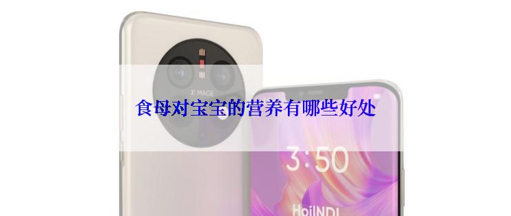 食母对宝宝的营养有哪些好处