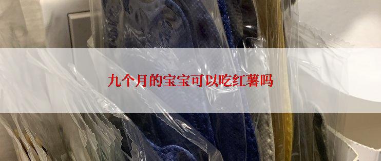 九个月的宝宝可以吃红薯吗