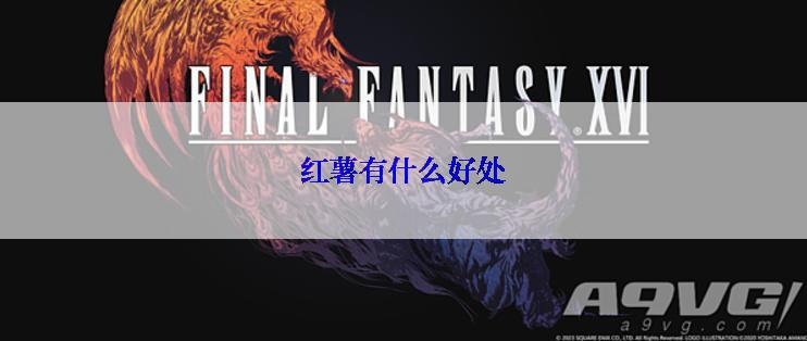 红薯有什么好处