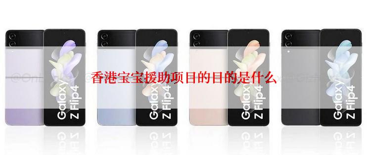 香港宝宝援助项目的目的是什么