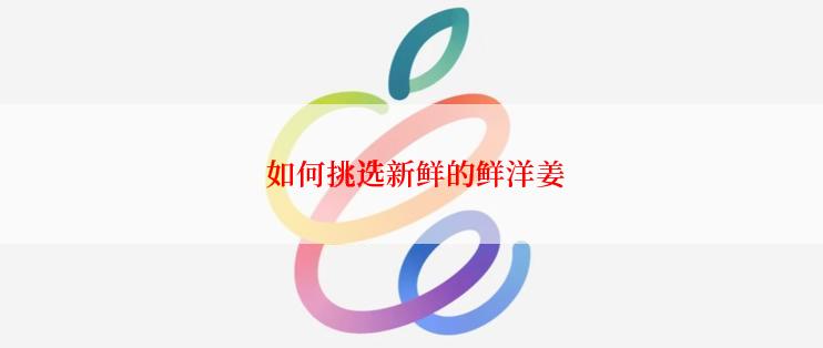  如何挑选新鲜的鲜洋姜