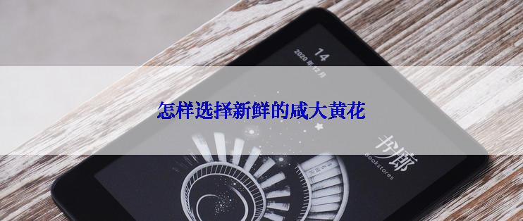 怎样选择新鲜的咸大黄花