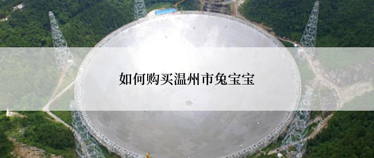 如何购买温州市兔宝宝