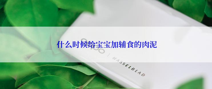  什么时候给宝宝加辅食的肉泥