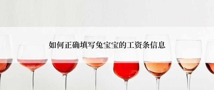 如何正确填写兔宝宝的工资条信息