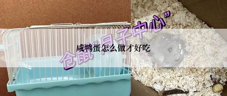 咸鸭蛋怎么做才好吃