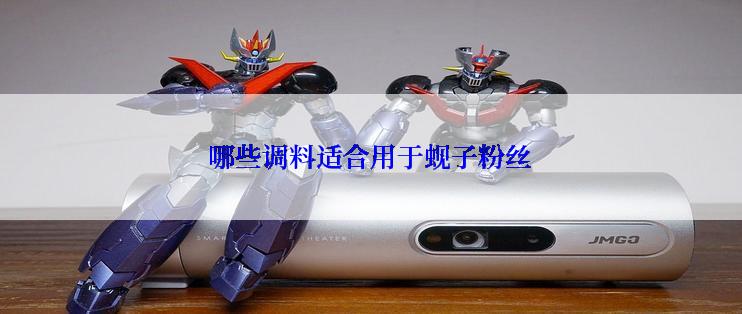 哪些调料适合用于蚬子粉丝