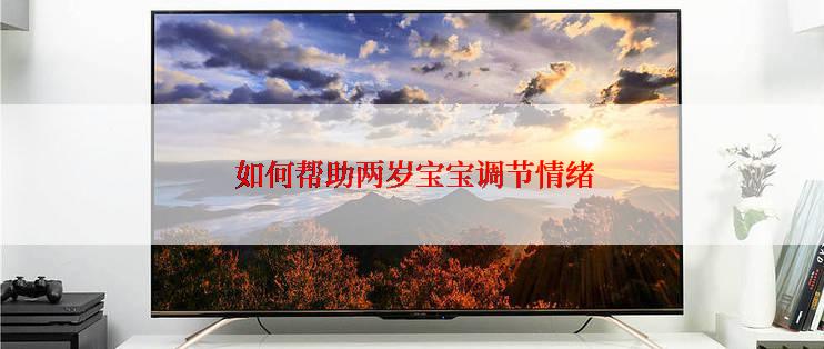  如何帮助两岁宝宝调节情绪