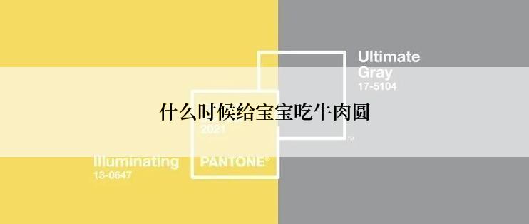 什么时候给宝宝吃牛肉圆