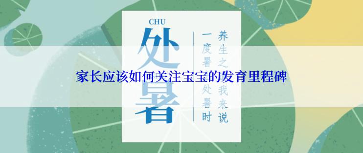 家长应该如何关注宝宝的发育里程碑