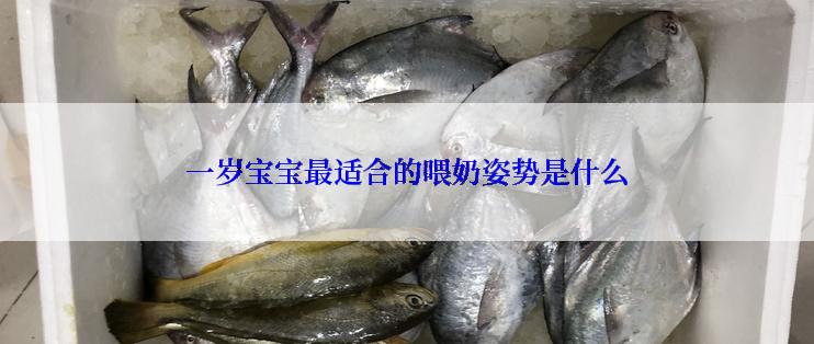 一岁宝宝最适合的喂奶姿势是什么