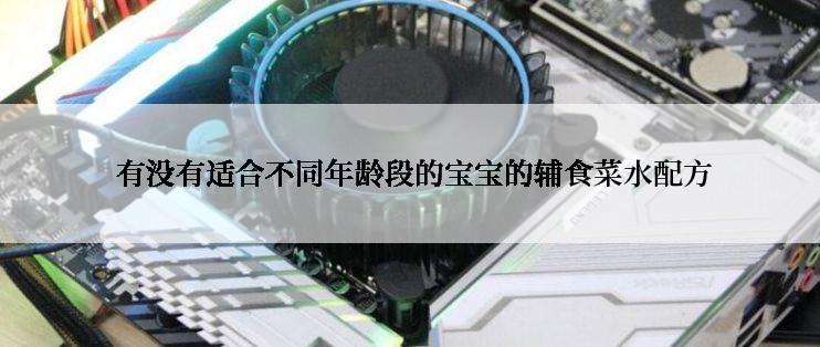  有没有适合不同年龄段的宝宝的辅食菜水配方
