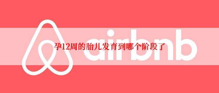 孕12周的胎儿发育到哪个阶段了