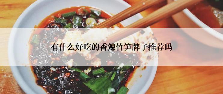 有什么好吃的香辣竹笋牌子推荐吗