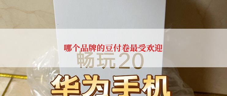 哪个品牌的豆付卷最受欢迎