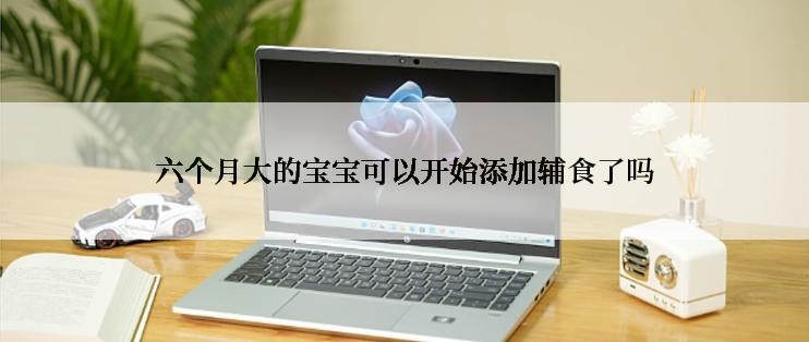 六个月大的宝宝可以开始添加辅食了吗