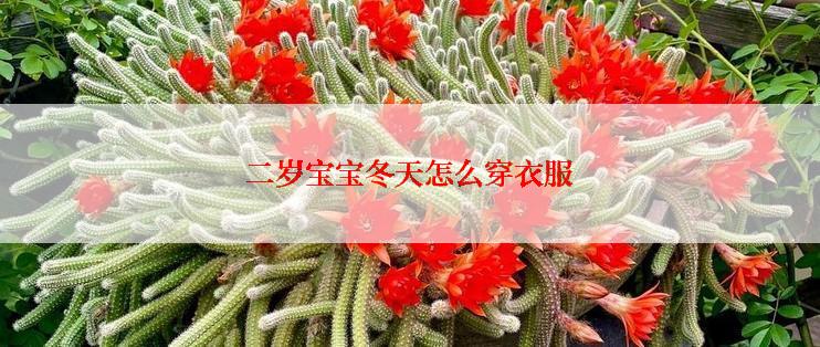 二岁宝宝冬天怎么穿衣服