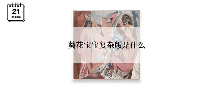 葵花宝宝复杂版是什么