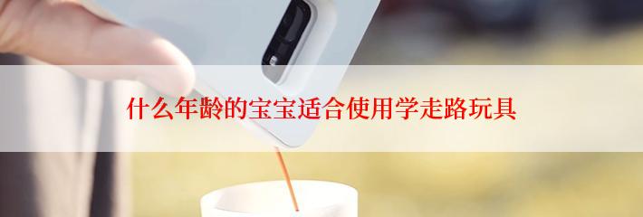 什么年龄的宝宝适合使用学走路玩具