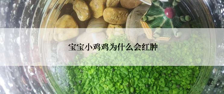 宝宝小鸡鸡为什么会红肿