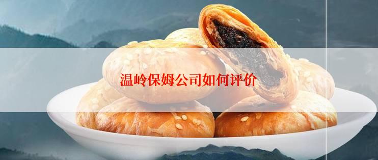 温岭保姆公司如何评价