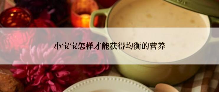 小宝宝怎样才能获得均衡的营养