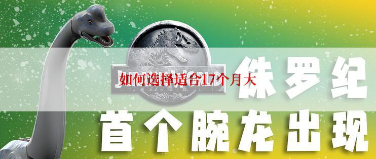 如何选择适合17个月大