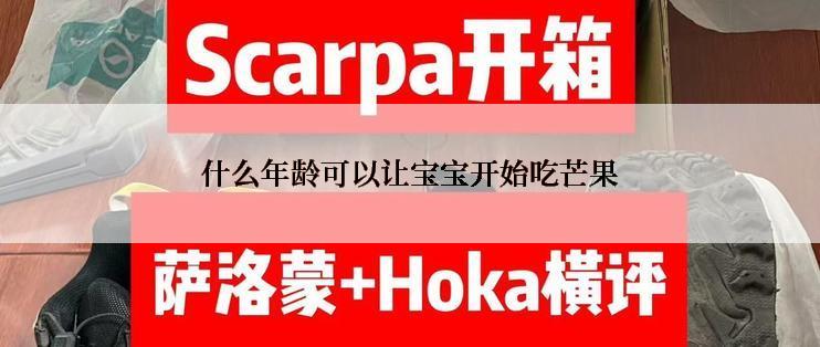 什么年龄可以让宝宝开始吃芒果