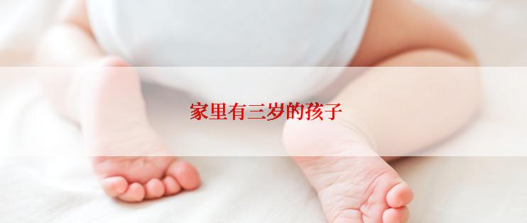  家里有三岁的孩子