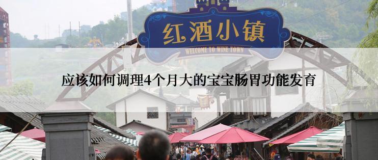 应该如何调理4个月大的宝宝肠胃功能发育