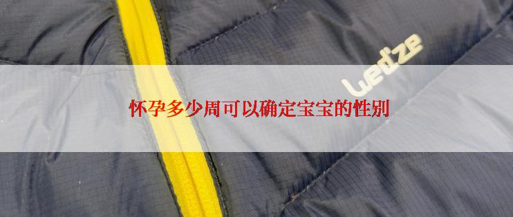  怀孕多少周可以确定宝宝的性别