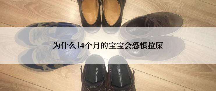 为什么14个月的宝宝会恐惧拉屎
