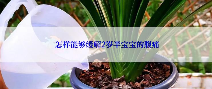  怎样能够缓解2岁半宝宝的腹痛