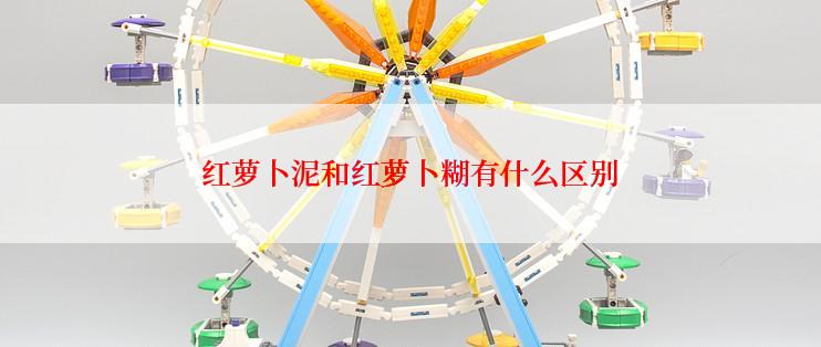 红萝卜泥和红萝卜糊有什么区别