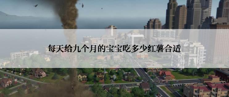 每天给九个月的宝宝吃多少红薯合适