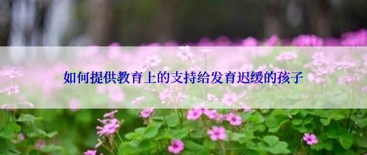 如何提供教育上的支持给发育迟缓的孩子