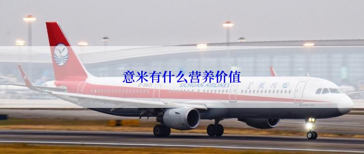 意米有什么营养价值