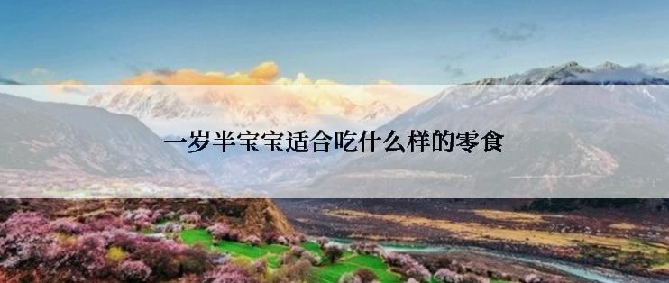 一岁半宝宝适合吃什么样的零食